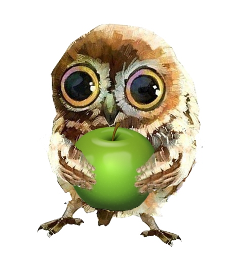 Бонусная система